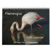Flamingos 2019 Wall Calendar Kalender (Hoes)