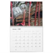 Flamingos 2019 Wall Calendar Kalender (Jan 2027)