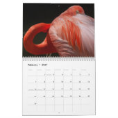 Flamingos 2019 Wall Calendar Kalender (Feb 2027)