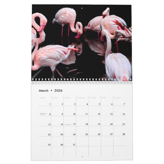 Flamingo's 2025 kalender (Mar 2026)