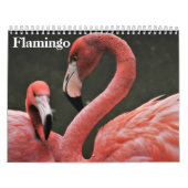Flamingo's 2025 kalender (Hoes)