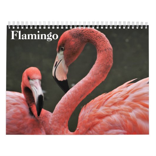 Flamingo's 2025 kalender (Hoes)