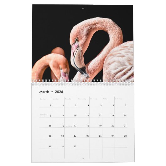 Flamingo's 2025 kalender (Mar 2026)