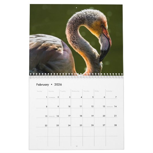 Flamingo's 2025 kalender (Feb 2026)