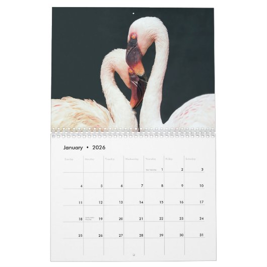 Flamingo's 2025 kalender (Jan 2026)