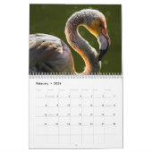 Flamingo's 2025 kalender (Feb 2026)