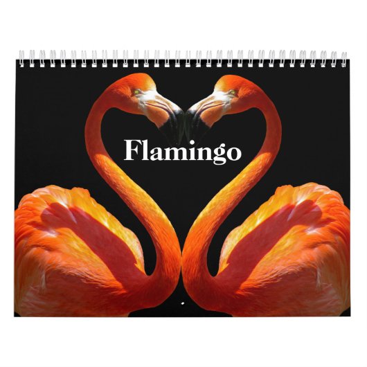 Flamingo's 2025 kalender (Hoes)