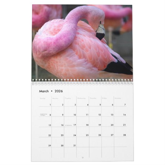 Flamingo's 2025 kalender (Mar 2026)
