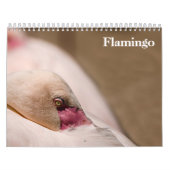 Flamingo's 2025 kalender (Hoes)