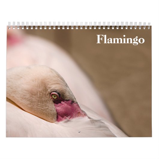 Flamingo's 2025 kalender (Hoes)