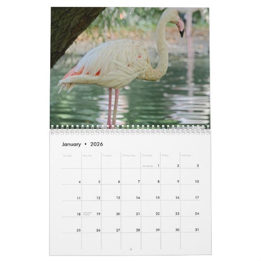Flamingo's 2025 kalender (Jan 2026)