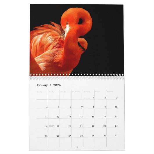 Flamingo's 2025 kalender (Jan 2026)