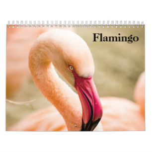 Flamingo's 2026 kalender