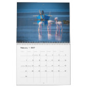 Flamingo's 2026 kalender (Feb 2027)