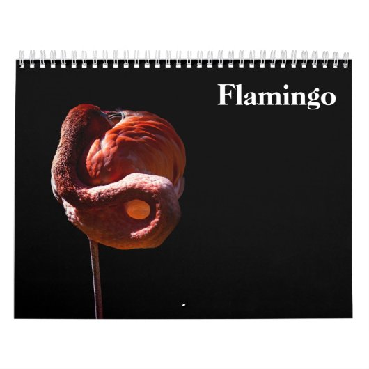 Flamingo's 2027 kalender (Hoes)