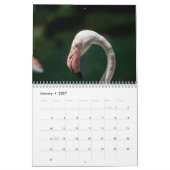 Flamingo's 2027 kalender (Jan 2027)