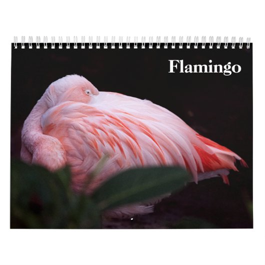 Flamingo's 2027 kalender (Hoes)