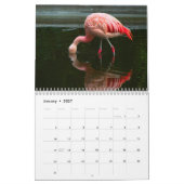 Flamingo's 2027 kalender (Jan 2027)