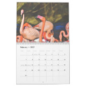 Flamingo's 2027 kalender (Feb 2027)