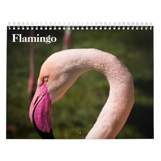 Flamingo's 2027 kalender (Hoes)