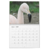 Flamingo's 2027 kalender (Mar 2027)