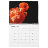 Flamingo's 2027 kalender (Jan 2027)