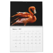 Flamingo's 2027 kalender (Feb 2027)
