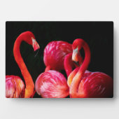 Flamingos Art Decor Fotoplaat (voorkant)