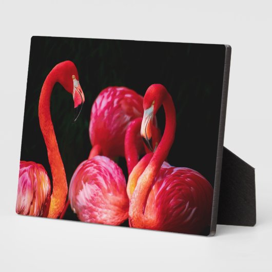 Flamingos Art Decor Fotoplaat (Zijkant)