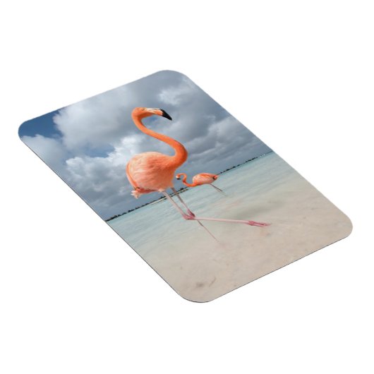 Flamingos Beach Aruba Magneet (Rechterzijde)