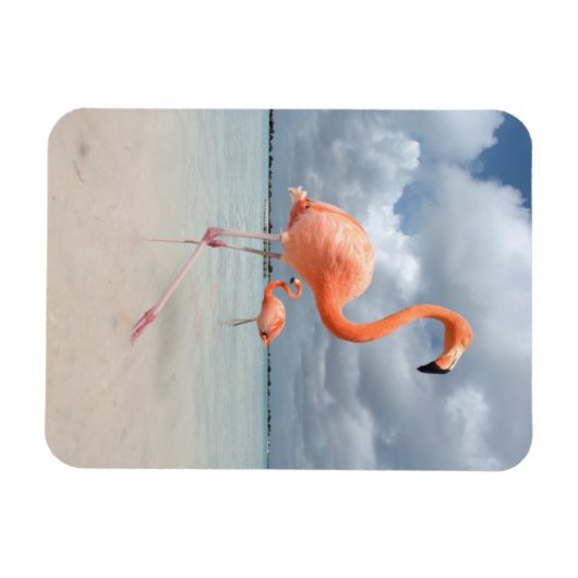 Flamingos Beach Aruba Magneet (Horizontaal)