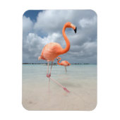 Flamingos Beach Aruba Magneet (Verticaal)