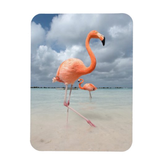 Flamingos Beach Aruba Magneet (Verticaal)