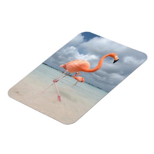 Flamingos Beach Aruba Magneet (Linkerzijde)