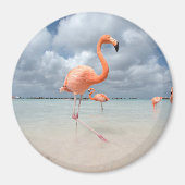 Flamingos Beach Aruba Magneet (Voorkant)