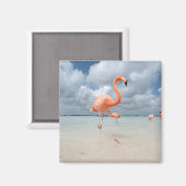 Flamingos Beach Aruba Magneet (Voorkant / Achterkant)
