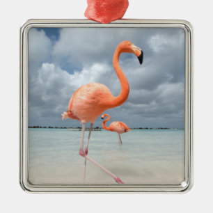 Flamingos Beach Aruba Metalen Ornament