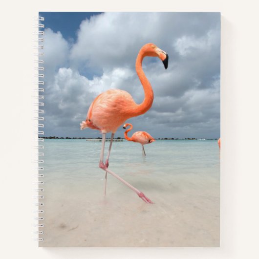 Flamingos Beach Aruba Notitieboek (Voorkant)