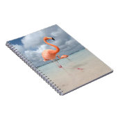 Flamingos Beach Aruba Notitieboek (Rechterzijde)