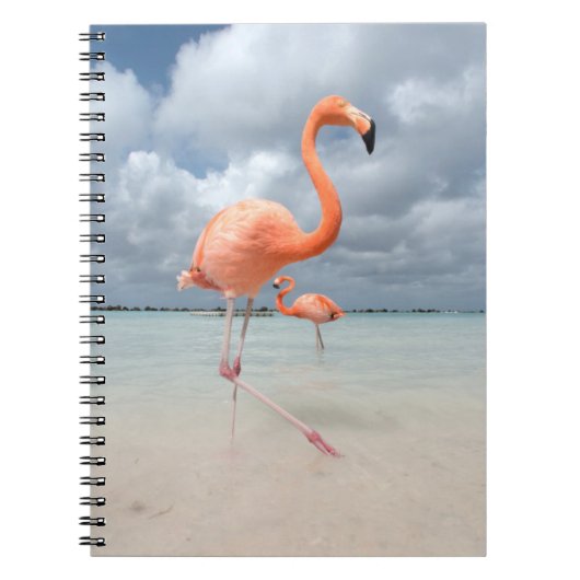 Flamingos Beach Aruba Notitieboek (Voorkant)
