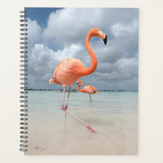 Flamingos Beach Aruba Planner (Voorkant)