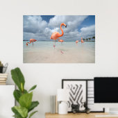 Flamingos Beach Aruba Poster (Thuiskantoor)