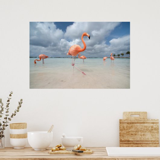 Flamingos Beach Aruba Poster (Keuken)