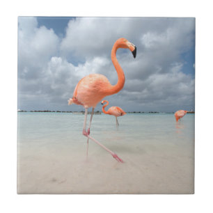 Flamingos Beach Aruba Tegeltje