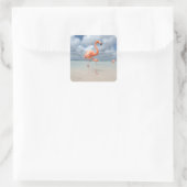 Flamingos Beach Aruba Vierkante Sticker (Tas)