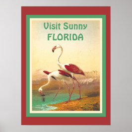Flamingos bezoekt het toerisme in Florida Poster
