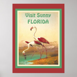  Flamingos bezoekt het toerisme in Florida Poster