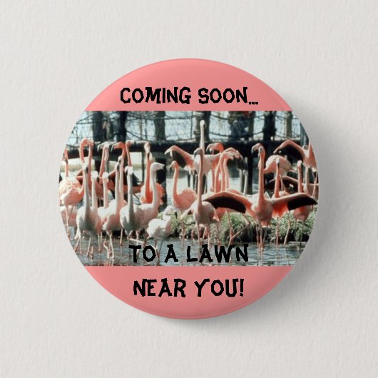 Flamingos, binnenkort... naar een grasmachine dich ronde button 5,7 cm (Voorkant)