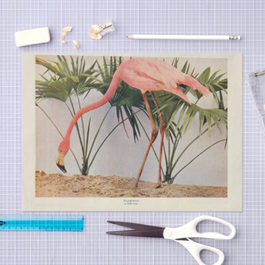 Flamingo's Bird Ephemera Decoupage Tissue Paper Tissuepapier (Craft)