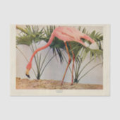 Flamingo's Bird Ephemera Decoupage Tissue Paper Tissuepapier (Voorkant)